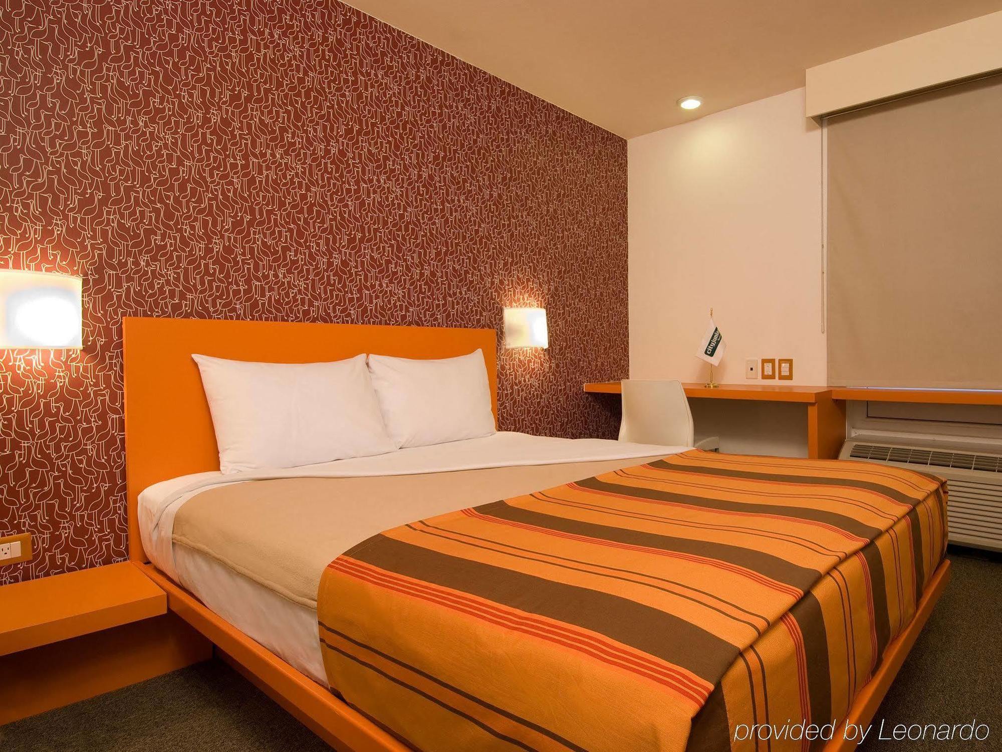 City Express Junior By Marriott Juarez Consulado Zimmer foto